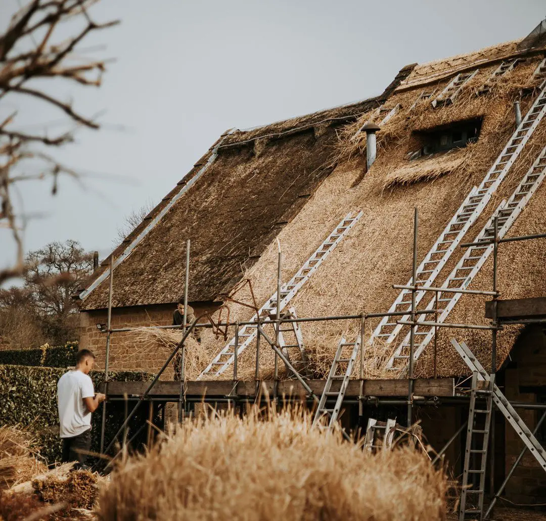 Header Packham Thatchers Hidden Somerset Roof