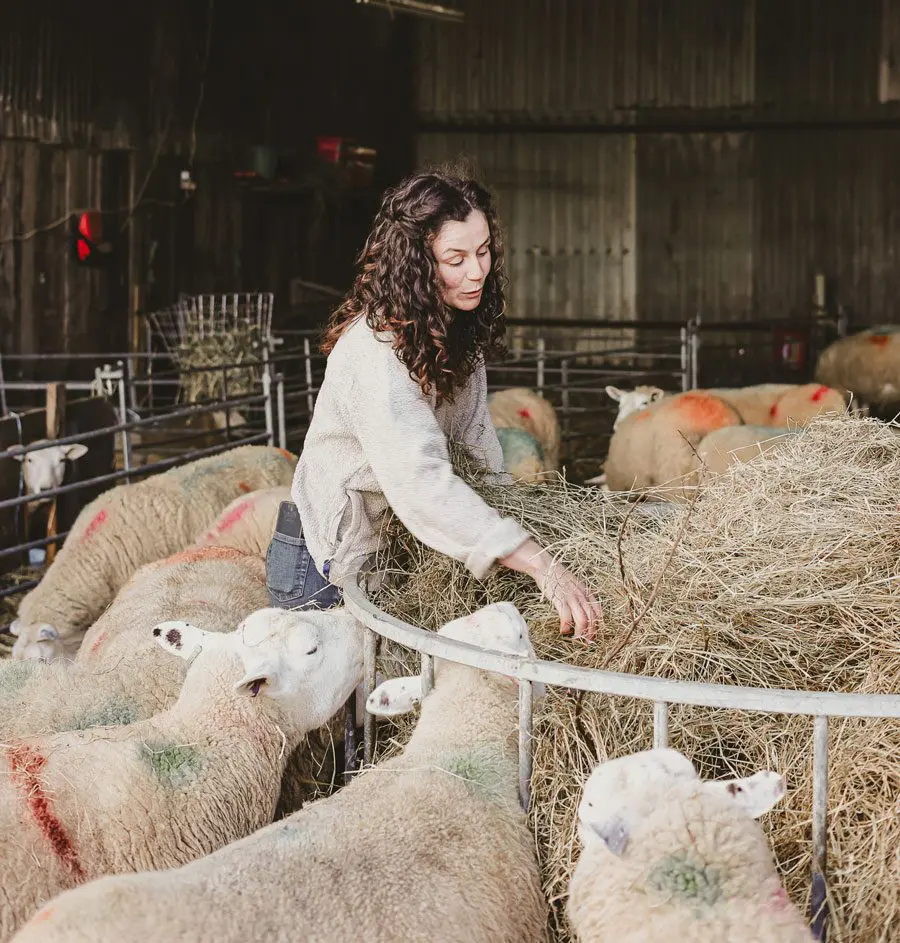 Lambing Season Jessy Palmers banner