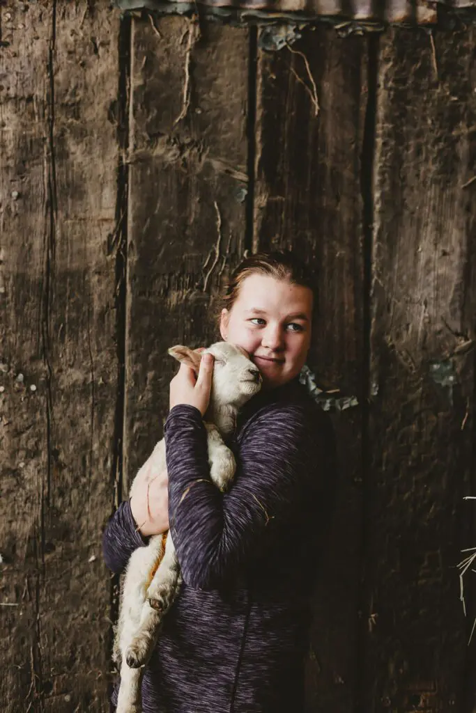 Lambing Season Jessy Palmers jess