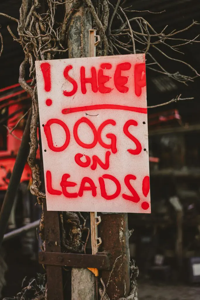 Lambing Season Jessy Palmers sign