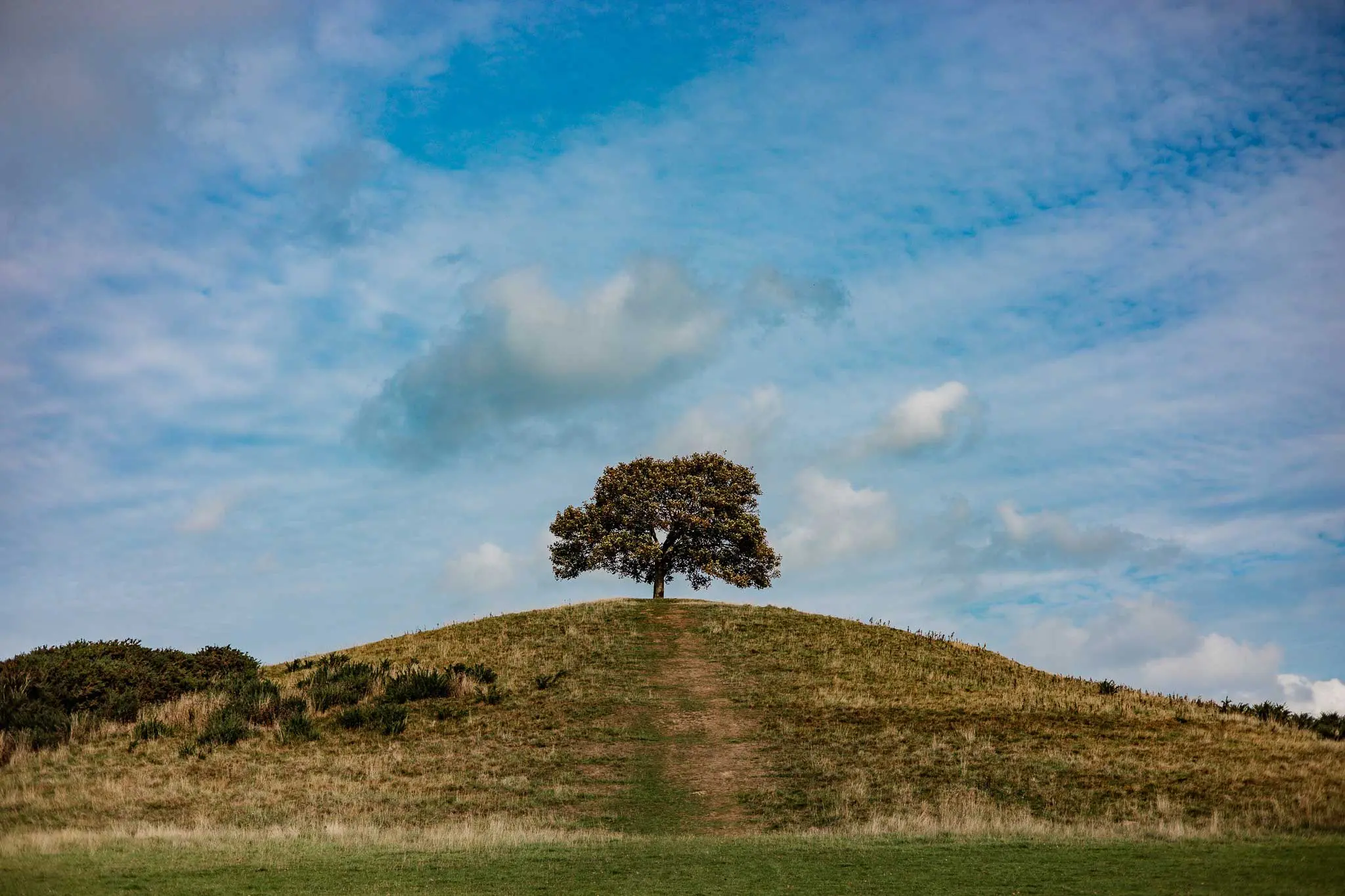Hidden Somerset Burrow Hill Somerset Cider Brandy Hill