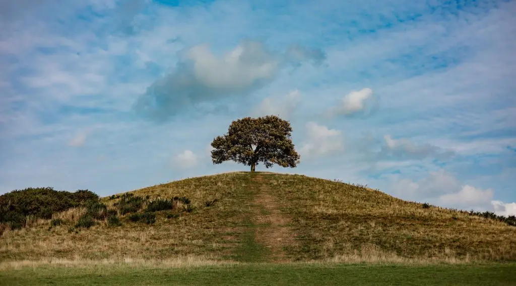 Burrow Hill in South Somerset