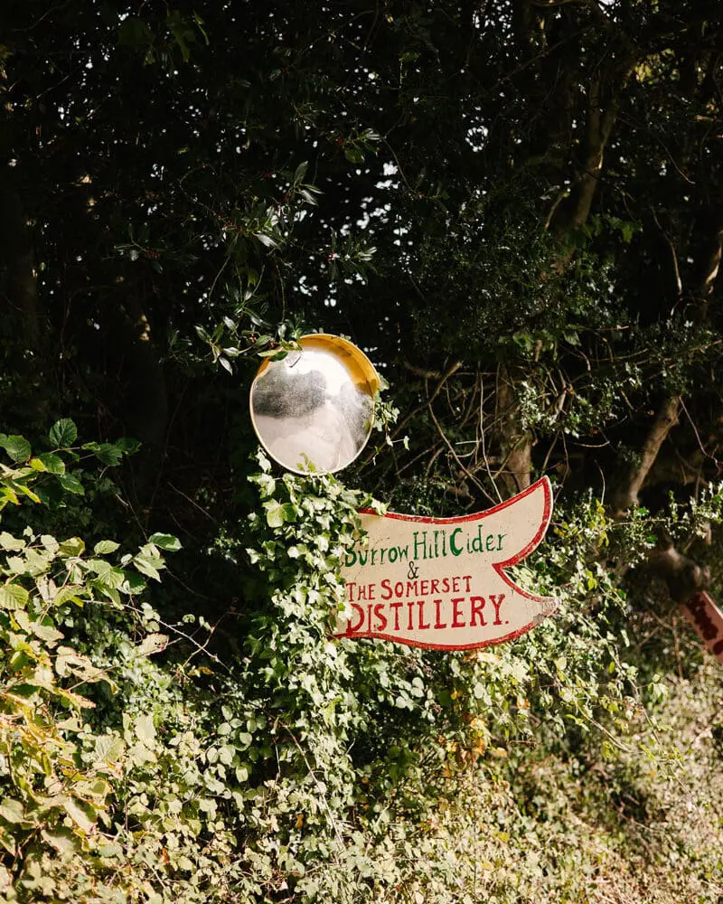 Somerset Cider Brandy
